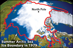 Since 1979, the size of the summer polar ice cap has shrunk more than 20 percent. (NASA) http://www.nrdc.org/globalWarming/qthinice.asp